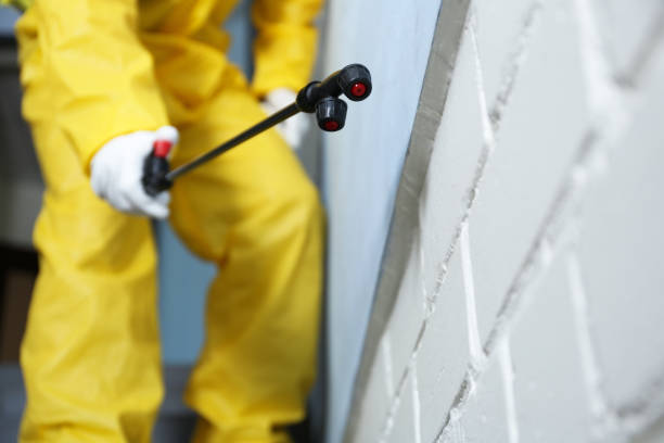 Best Commercial Pest Control  in Superior, AZ